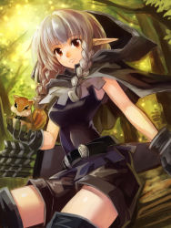 Rule 34 | 1girl, belt, boots, braid, chipmunk, dragon&#039;s crown, edobox, elf (dragon&#039;s crown), gloves, hood, hoodie, light smile, pointy ears, red eyes, silver hair, solo, squirrel, thigh boots, thighhighs, twin braids