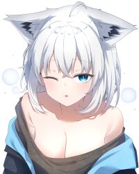 Rule 34 | 1girl, absurdres, amato 0321, animal ears, bare shoulders, black jacket, black shirt, expressionless, fox ears, fox girl, highres, hololive, jacket, looking at viewer, off shoulder, one eye closed, open clothes, open jacket, parted lips, shirakami fubuki, shirt, short hair, sleepy, squeans, virtual youtuber, white hair