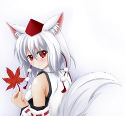 Rule 34 | 1girl, animal ears, autumn leaves, bad id, bad pixiv id, balchy, bare shoulders, blush, breasts, hat, highres, holding, holding leaf, inubashiri momiji, leaf, looking at viewer, looking back, medium breasts, pom pom (clothes), red eyes, short hair, silver hair, simple background, smile, solo, tail, tokin hat, touhou, white background, wolf ears, wolf tail