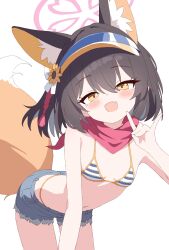 Rule 34 | 1girl, absurdres, animal ear fluff, animal ears, bikini, black hair, blue archive, blue shorts, blush, breasts, cowboy shot, extra ears, fang, fox ears, fox shadow puppet, fox tail, hair between eyes, halo, highres, izuna (blue archive), izuna (swimsuit) (blue archive), looking at viewer, navel, official alternate costume, open mouth, pink halo, red scarf, scarf, short hair, short shorts, shorts, simple background, skin fang, small breasts, smile, solo, striped bikini, striped clothes, swimsuit, tail, white background, yellow eyes, yukisiannn