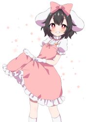 Rule 34 | 1girl, alternate costume, animal ears, blush, bow, bright pupils, clothes lift, commentary request, dress, feet out of frame, floral background, gloves, grin, hair between eyes, hair bow, high collar, highres, inaba tewi, kneehighs, leaning back, lifted by self, looking at viewer, petticoat, pin, pinafore dress, pink bow, pink dress, puffy short sleeves, puffy sleeves, rabbit ears, red eyes, shirt, short sleeves, skirt, skirt lift, sleeveless dress, smile, socks, solo, standing, touhou, tsukimirin, uneven eyes, white background, white gloves, white pupils, white shirt, white socks