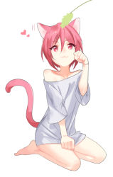 Rule 34 | 10s, :3, animal ears, cat boy, cat ears, cat tail, free!, full body, heart, male focus, matsuoka rin, naked shirt, paw pose, red eyes, red hair, shirt, short hair, simple background, siruphial, smile, solo, tail, white background