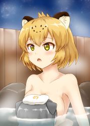 Rule 34 | 10s, 2girls, absurdres, animal ears, bad id, bad pixiv id, bathing, blonde hair, blush, breasts, collarbone, commentary request, highres, hug, jaguar (kemono friends), jaguar ears, kemono friends, medium breasts, multiple girls, night, night sky, nude, onsen, open mouth, otter ears, outdoors, partially submerged, shiraha maru, sideboob, silver hair, sky, small-clawed otter (kemono friends), star (sky), starry sky, steam, towel, towel on head, upper body, waist hug, water, wet, yellow eyes