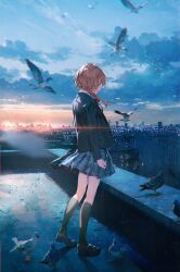 Rule 34 | 1girl, absurdres, arms at sides, bird, black footwear, black jacket, black socks, blazer, blue eyes, blue skirt, braid, braided ponytail, city lights, cityscape, closed mouth, cloud, cloudy sky, commentary, film grain, floating hair, from side, full body, hair over shoulder, heel up, highres, jacket, kaf (kamitsubaki studio), kamitsubaki studio, kneehighs, lens flare, loafers, long hair, looking ahead, motion blur, on rooftop, outdoors, pigeon, pink hair, plaid, plaid skirt, pleated skirt, profile, rooftop, school uniform, shadow, shiomi (lowrise), shoes, skirt, sky, socks, solo, standing, sunrise, urban, wide-eyed