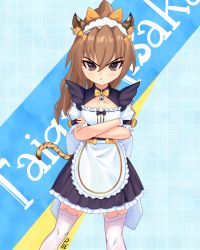 Rule 34 | 1girl, absurdres, aisaka taiga, animal ears, apron, bell, black skirt, blue background, bow, bowtie, brown eyes, brown hair, character name, closed mouth, commentary, crossed arms, english commentary, hair between eyes, highres, jingle bell, light blush, long hair, looking at viewer, maid, maid apron, maid headdress, ponytail, pout, short sleeves, signature, skirt, solo, standing, tail, thighhighs, tiger ears, tiger tail, toradora!, unusualpie, v-shaped eyebrows, white thighhighs, yellow bow