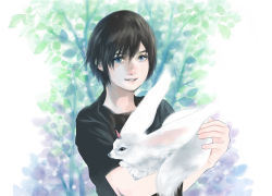 Rule 34 | 1boy, animal, animal ears, bad id, bad pixiv id, black hair, carbuncle (final fantasy), commentary request, final fantasy, final fantasy xv, highres, looking at viewer, noctis lucis caelum, open mouth, pointy ears, smile, tail