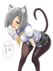 Rule 34 | 1girl, absurdres, animal ear fluff, animal ears, blue eyes, blush, breasts, bulbonne, cat ears, cat tail, commentary request, covering crotch, covering privates, drooling, feet out of frame, gloves, grey skirt, hair ornament, hair over one eye, hairclip, hamakaze (kancolle), hand to own mouth, highres, kantai collection, large breasts, leaning forward, open mouth, pantyhose, pleated skirt, school uniform, serafuku, short hair, short sleeves, silver hair, simple background, skirt, solo, striped clothes, striped skirt, tail, white background, white gloves