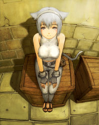 Rule 34 | 10s, 1girl, animal ears, cat ears, cat girl, cat tail, final fantasy, final fantasy xiv, gloves, grey eyes, headband, lionel nakamura, looking up, miqo&#039;te, sandals, short hair, sitting, smile, solo, tail, warrior of light (ff14), white hair