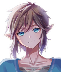Rule 34 | 1boy, blonde hair, blue eyes, blue shirt, brown hair, closed mouth, collarbone, commentary request, highres, jewelry, link, looking at viewer, male focus, nintendo, pointy ears, portrait, seri (yuukasakura), shirt, short hair, simple background, smile, solo, the legend of zelda, the legend of zelda: breath of the wild, upper body, white background