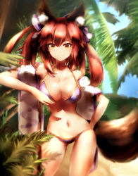 Rule 34 | 10s, 1girl, absurdres, animal ears, beach, bikini, blue bikini, breasts, cleavage, collarbone, dated, day, fate/extra, fate/grand order, fate (series), fox ears, fox tail, highres, large breasts, long hair, looking at viewer, mochigome (fatelly), nature, navel, ocean, outdoors, pink hair, signature, solo, swimsuit, tail, tamamo (fate), tamamo no mae (fate/extra), tamamo no mae (swimsuit lancer) (fate), tree, yellow eyes