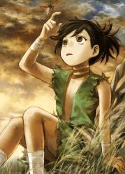 Rule 34 | 1girl, abe yoshitoshi, androgynous, black hair, brown eyes, brown sky, bug, dororo (character), dororo (tezuka), dragonfly, flat chest, grass, hand up, highres, insect, looking up, open clothes, open mouth, outdoors, ponytail, sitting, solo