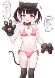 Rule 34 | 1girl, absurdres, alternate costume, animal ears, animal hands, bare arms, bare shoulders, bell, belt collar, bikini, black hair, blush, breasts, cat ears, collar, commentary request, cosplay, gloves, groin, hand up, highres, indie virtual youtuber, looking at viewer, multicolored hair, neck bell, paw gloves, pink bikini, pink eyes, red hair, rikotan (vtuber), short hair, simple background, small breasts, solo, speech bubble, string bikini, swimsuit, takenoko no you, translation request, twintails, two-tone hair, virtual youtuber