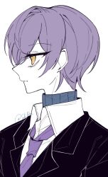 Rule 34 | 1boy, black jacket, blue sweater, closed mouth, collared shirt, from side, highres, jacket, lobotomy corporation, long sleeves, looking to the side, male focus, necktie, project moon, purple hair, purple necktie, sakiaoba, shirt, simple background, solo, sweater, sweater under shirt, white background, white shirt, wing collar, yesod (project moon)