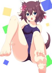 Rule 34 | 1girl, alternate costume, animal ears, barefoot, blue eyes, blue one-piece swimsuit, blush, breasts, brown hair, commentary request, competition swimsuit, ear covers, feet, hair between eyes, highres, horse ears, horse girl, horse tail, looking at viewer, medium breasts, nendoroya, one-piece swimsuit, sakura chiyono o (umamusume), short hair, soles, solo, swimsuit, tail, toes, umamusume