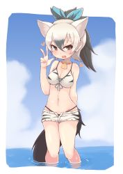 Rule 34 | 10s, 1girl, :d, aardwolf (kemono friends), absurdres, animal ears, bad id, bad pixiv id, bare shoulders, bikini, black eyes, black hair, blue sky, breasts, cloud, day, extra ears, fang, groin, hair between eyes, hair ribbon, hand up, heart, heart-shaped pupils, highres, jewelry, kemono friends, kemono friends festival, looking at viewer, medium breasts, multicolored hair, navel, necklace, open mouth, outdoors, ponytail, ribbon, shell, shell necklace, short hair, short shorts, shorts, sky, smile, solo, stomach, swimsuit, symbol-shaped pupils, tail, teranekosu, two-tone hair, w, wading, water, white hair