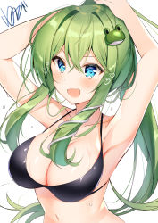 Rule 34 | 1girl, :d, absurdres, alternate hairstyle, armpits, arms up, artist name, bare arms, bare shoulders, bikini, black bikini, blue eyes, blush, breasts, collarbone, commentary, fang, frog hair ornament, green hair, hair between eyes, hair intakes, hair ornament, halterneck, heart, heart-shaped pupils, highres, kochiya sanae, large breasts, long hair, looking at viewer, navel, nenobi (nenorium), open mouth, ponytail, sidelocks, signature, simple background, skin fang, smile, snake hair ornament, solo, stomach, swimsuit, symbol-only commentary, symbol-shaped pupils, touhou, translated, tying hair, upper body, very long hair, wet, white background