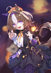 Rule 34 | 1girl, ahoge, animal ears, beret, black dress, brown hair, claw pose, commentary, cowboy shot, dress, ear covers, fangs, frilled sleeves, frills, ghost ornament, hairband, halloween, halloween costume, hat, highres, holding, holding staff, horse ears, horse girl, horse tail, jack-o&#039;-lantern ornament, lantern, long dress, long sleeves, looking at viewer, medium hair, meisho doto (dot-o&#039;-lantern) (umamusume), meisho doto (umamusume), multicolored hair, neck ribbon, official alternate costume, open mouth, orange headwear, orange ribbon, purple eyes, purple hairband, ribbon, single ear cover, smile, solo, staff, standing, tail, two-tone hair, umamusume, white hair