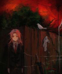 Rule 34 | 1boy, absurdres, arms at sides, barbed wire, bird, black jacket, black pants, black umbrella, chinese commentary, closed umbrella, collared shirt, colored eyelashes, commentary request, fence, formal, hatsutori hajime, highres, jacket, long hair, long sleeves, looking at viewer, male focus, necktie, outdoors, pants, parted bangs, pink hair, power lines, red eyes, red necktie, red sky, saibou shinkyoku, shirt, sky, solo, stuffed animal, stuffed rabbit, stuffed toy, suit, tatsujin show, umbrella, white bird, white shirt, wooden fence