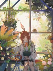 Rule 34 | 1girl, absurdres, amiya (arknights), amiya (planter) (arknights), animal ears, arknights, backlighting, bird, birdcage, brown hair, cage, closed eyes, feet out of frame, flower, flower necklace, flower pot, greenhouse, hair between eyes, highres, holding, holding flower pot, jacket, jewelry, long hair, long sleeves, mriyak, necklace, official alternate costume, open clothes, open jacket, parted lips, pink flower, plant, rabbit ears, rabbit girl, rhodes island logo (arknights), shirt, shovel, sitting, sleeping, solo, turtleneck, white bag, white flower, white jacket, white shirt