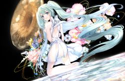 Rule 34 | 1girl, absurdly long hair, absurdres, back, bare arms, barefoot, black background, blue eyes, blue flower, blue hair, closed mouth, commentary, dress, flower, from behind, full body, gawako, hatsune miku, highres, huge filesize, kneeling, long hair, looking at viewer, looking back, phonograph, pink flower, purple flower, short sleeves, smile, solo, twintails, very long hair, vocaloid, white dress