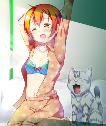 Rule 34 | 10s, 1girl, blush, bra, breasts, cat, furiido (fried37), furiido (idobatakaigisho), hoshizora rin, love live!, love live! school idol project, navel, open clothes, open mouth, orange hair, outstretched arm, pajamas, short hair, sitting, small breasts, smile, solo, tears, underwear, yawning, yellow eyes