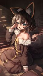 Rule 34 | 1girl, animal ear fluff, animal ears, black dress, black hair, book, book stack, brown jacket, brown pantyhose, commission, dress, fang, fur-trimmed jacket, fur trim, green eyes, hair between eyes, half-closed eye, hand up, highres, jacket, melaton, no shoes, off shoulder, on floor, open clothes, open jacket, open mouth, original, pantyhose, puffy short sleeves, puffy sleeves, rubbing eyes, short sleeves, sitting, skeb commission, sleepy, sleeves past wrists, solo, strapless, strapless dress, tail, uneven eyes, wariza, wavy mouth