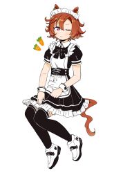 Rule 34 | 1girl, alternate costume, animal ears, apron, black thighhighs, brown hair, carrot, closed mouth, commentary request, dress, enmaided, frilled apron, frilled dress, frills, full body, hair between eyes, highres, horse ears, horse girl, horse tail, looking at viewer, maid, maid apron, maid headdress, one eye closed, parted bangs, pleated dress, puffy short sleeves, puffy sleeves, purple eyes, setone, shoes, short sleeves, simple background, solo, t.m. opera o (umamusume), tail, thighhighs, umamusume, white apron, white background, white footwear
