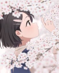 Rule 34 | 1girl, black hair, blurry, blurry background, blurry foreground, blush, cherry blossoms, depth of field, hair ornament, hairpin, highres, idolmaster, idolmaster cinderella girls, light smile, looking at object, megabee e, outdoors, sasaki chie, short hair, solo, twitter username, upper body