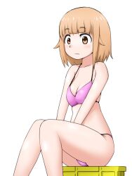 Rule 34 | 1girl, bare shoulders, bikini, breasts, brown eyes, brown hair, closed mouth, collarbone, female focus, houkago teibou nisshi, legs, looking at viewer, pink bikini, simple background, sitting, small breasts, solo, swimsuit, thighs, tsurugi hina, white background, yass hero