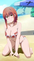 Rule 34 | 1girl, absurdres, beach, blush, breasts, chainsaw man, highres, indexryo, large breasts, long hair, makima (chainsaw man), red hair, smile, swimsuit, tagme, yellow eyes