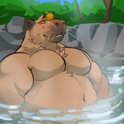 Rule 34 | 1boy, bara, big belly, blush, capy (r00ffles), capybara boy, chest hair, chest tuft, commission, furry, furry male, happy, highres, large pectorals, male focus, mature male, muscular, muscular male, no nipples, nosoyunoso, onsen, original, partially submerged, pectorals, pun, second-party source, short hair, smile, solo, steam, upper body, whiskers