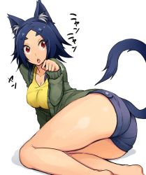 Rule 34 | 1girl, animal ears, aruko (nac000), ass, blue hair, breasts, cardigan, cat ears, cat tail, cleavage, curvy, eyebrows, large breasts, looking at viewer, lying, md5 mismatch, nac000, on side, open mouth, original, parted bangs, paw pose, red eyes, resized, short hair, short shorts, shorts, solo, tail, thick eyebrows, thick thighs, thighs, wide hips