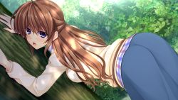 Rule 34 | 1girl, against tree, asami asami, ass, back, backboob, belt, blue eyes, blush, breasts, brown hair, female focus, forest, game cg, hayase chitose (pretty x cation), large breasts, long hair, long skirt, long sleeves, looking back, nature, open mouth, pretty x cation 2, skirt, solo, standing, sweatdrop, sweater, tree