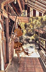 Rule 34 | 10s, 1girl, :d, animal ears, bare shoulders, blonde hair, commentary, day, elbow gloves, gloves, highres, kemono friends, kolshica, open mouth, outdoors, print gloves, print skirt, print thighhighs, serval (kemono friends), serval print, serval tail, shirt, shoes, short hair, skirt, sleeveless, sleeveless shirt, smile, solo, standing, standing on one leg, tail, thighhighs, white shirt, yellow eyes, zettai ryouiki