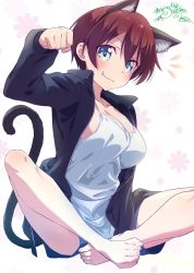 Rule 34 | 1girl, :3, animal ear fluff, animal ears, barefoot, between legs, black jacket, blue eyes, blue shorts, breasts, brown hair, cat ears, cleavage, fang, fang out, hair between eyes, hand between legs, highres, indian style, jacket, large breasts, looking at viewer, makicha (sasurainopink), new game!, open clothes, open jacket, shinoda hajime, shirt, short hair, short shorts, shorts, sitting, sleeveless, sleeveless shirt, solo, white background, white shirt