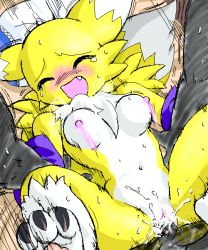 Rule 34 | animal ears, bed, blush, breasts, digimon, digimon (creature), furry, lying, monster, nude, penis, pov, pussy, renamon, sex, tail