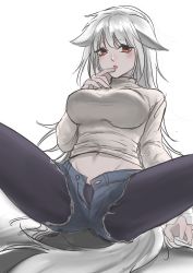 Rule 34 | 1girl, animal ears, black pantyhose, blush, breasts, character request, chinese commentary, commentary request, copyright request, cutoffs, denim, denim shorts, dog ears, dog tail, grey sweater, groin, hand up, large breasts, pantyhose under shorts, long hair, long sleeves, looking at viewer, meno nuo, midriff, navel, open fly, pantyhose, parted lips, red eyes, short shorts, shorts, silver hair, simple background, sitting, solo, spread legs, sweater, tail, thighs, white background