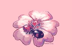Rule 34 | animal, animal focus, animals kissing, artist name, bug, everson woodlouse, flower, flower focus, heart, insect, kiss, ladybug, no humans, original, pink background, pink flower