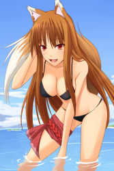 Rule 34 | 00s, 1girl, :d, adjusting hair, akitsuki karasu, alternate breast size, animal ears, bent over, bikini, black bikini, breasts, brown hair, cleavage, cloud, day, fang, female focus, holo, large breasts, long hair, looking at viewer, open mouth, outdoors, red eyes, rope, sideboob, sky, smile, solo, spice and wolf, standing, swimsuit, tail, thigh strap, very long hair, wading, water, wolf ears, wolf tail