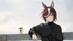 Rule 34 | 1girl, animal ears, artist name, asama (drift in), black jacket, brown hair, capelet, closed mouth, cup, disposable cup, elbow rest, eyepatch, fence, gloves, highres, horse ears, jacket, long sleeves, looking at viewer, multicolored hair, short hair, solo, streaked hair, tanino gimlet (umamusume), turtleneck, umamusume, upper body, watermark, white gloves, yellow eyes