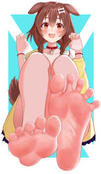 Rule 34 | 1girl, :d, absurdres, animal ears, barefoot, blue background, blush, brown eyes, brown hair, claw pose, collar, collarbone, dog ears, feet, foot focus, foreshortening, greek toe, hands up, he c92, highres, hololive, inugami korone, inugami korone (1st costume), jacket, knees up, looking at viewer, low twintails, nail polish, open mouth, simple background, smile, soles, solo, spread toes, toes, twintails, virtual youtuber, yellow jacket, yellow nails
