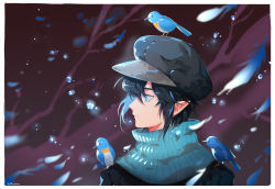 Rule 34 | 1boy, animal, animal on shoulder, aotu world, bird, bird on shoulder, bird request, black hair, black hat, black jacket, blue bird, blue eyes, blue feathers, border, brown background, cabbie hat, camil (aotu world), chinese commentary, closed mouth, commentary request, eromkk, feathers, hat, highres, jacket, looking away, looking to the side, male focus, pointy ears, profile, short hair, solo, upper body, white border