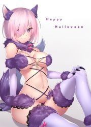 Rule 34 | 1girl, animal costume, animal ears, arm at side, arm support, bare shoulders, black panties, blurry, bow, breasts, bu li, closed mouth, depth of field, detached collar, elbow gloves, eyelashes, fang, fang out, fate/grand order, fate (series), fur trim, gloves, hair over one eye, halloween, halloween costume, hand on own knee, happy halloween, heart, heart-shaped pupils, knee up, lace, lace-trimmed legwear, lace trim, large breasts, looking at viewer, mash kyrielight, mash kyrielight (dangerous beast), navel, o-ring, official alternate costume, panties, pink bow, purple eyes, purple gloves, purple hair, purple thighhighs, revealing clothes, shade, short hair, simple background, sitting, smile, solo, stomach, strap gap, symbol-shaped pupils, tail, thighhighs, underboob, underwear, white background, wolf costume, wolf ears, wolf tail