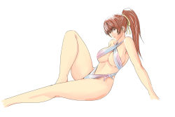 Rule 34 | 1girl, absurdres, bare shoulders, breasts, brown eyes, brown hair, cleavage, closed mouth, dead or alive, high ponytail, highres, kasumi (doa), knee up, large breasts, long hair, looking at viewer, ninja, ponytail, ribbon, simple background, sitting, solo, swimsuit, user tggn7272, white background