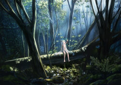 Rule 34 | 1girl, absurdres, aqua eyes, completely nude, fallen tree, flower wreath, forest, grass, hair over breasts, hair over crotch, head wreath, highres, in tree, long hair, nature, nay, nude, original, outstretched arm, rock, scenery, sitting, sitting in tree, solo, tree, very long hair, white hair
