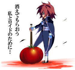 Rule 34 | 00s, 1boy, baseball bat, cape, kratos aurion, male focus, red eyes, red hair, short hair, solo, stab, tales of (series), tales of symphonia, tomato, wind