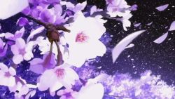 Rule 34 | animated, animated gif, cherry blossoms, hourou musuko, lowres, no humans, tagme