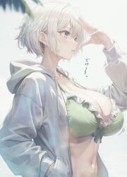 Rule 34 | 1girl, arm up, bikini, blue eyes, blurry, blurry foreground, breasts, cleavage, commentary request, frills, from side, front-tie bikini top, front-tie top, green bikini, hair behind ear, hand in pocket, hood, hood down, hoodie, kurono mitsuki, large breasts, navel, open clothes, open hoodie, original, pale skin, short hair, solo, strap gap, swimsuit, translation request, upper body, white background, white hair, white hoodie