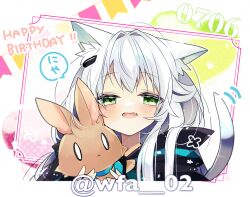 Rule 34 | 1girl, amiya (arknights), animal ears, arknights, artist name, black jacket, blush, cat ears, cat girl, cat tail, character doll, commentary, dated, green eyes, happy birthday, itsuki 02, jacket, looking at viewer, parted lips, rosmontis (arknights), solo, stuffed animal, stuffed rabbit, stuffed toy, symbol-only commentary, tail, tail wagging, twitter username, upper body, white hair