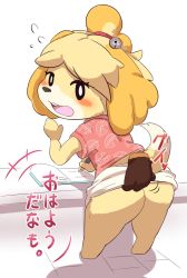 Rule 34 | 1boy, 1girl, animal crossing, animal ears, ass, blush, book, clothes lift, counter, dog, dog ears, dog girl, dog tail, furry, furry female, highres, isabelle (animal crossing), looking back, nintendo, no panties, open mouth, raccoon, skirt, skirt lift, surprised, tail, tom nook (animal crossing), writing